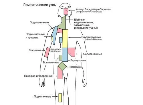 як лікувати лімфовузли на нозі