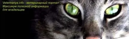 portal de uz veterinar - informațiile cele mai utile pentru toți cei care au animale de companie