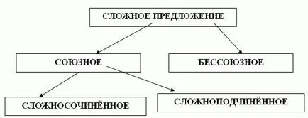 Tipuri de exemple complexe Exemple de masă