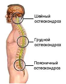 як лікувати спину в бані