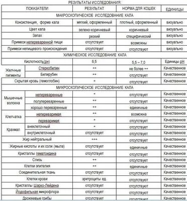 нежить