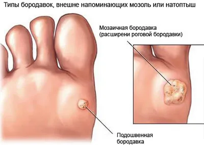 препарати