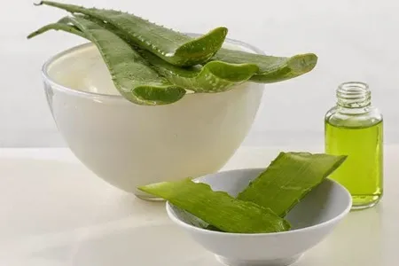 як лікувати нежить алое