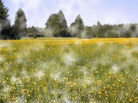 Мігрень з аурою - що це таке? мігрень