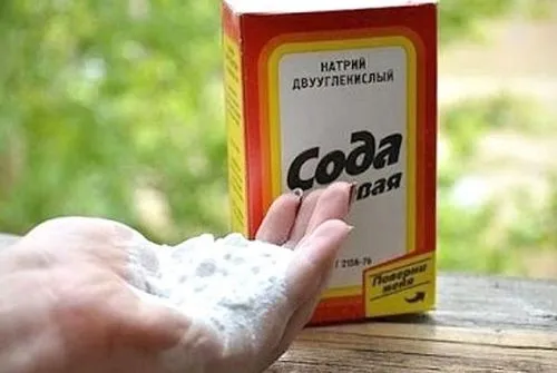 Чи можна підмиватися содою (при молочниці, свербінні, вагітності, циститі) молочниця