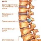 хребет