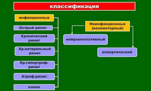 хронічний риніт види