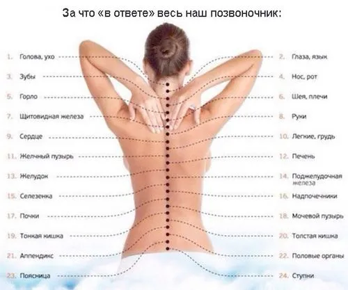 Остеохондроз: причини, симптоми і ознаки як лікувати остеохондроз у дітей
