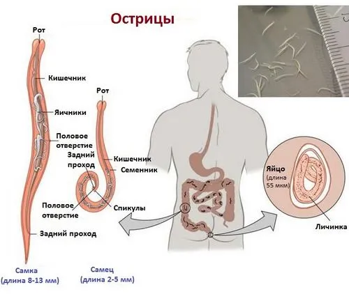 профілактика