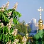 лікувати отруєння молочними продуктами