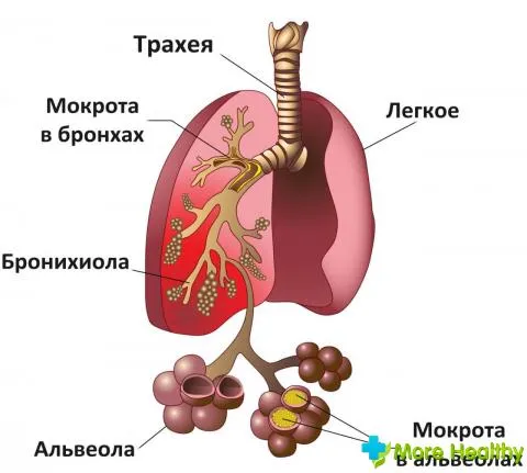 актуальні