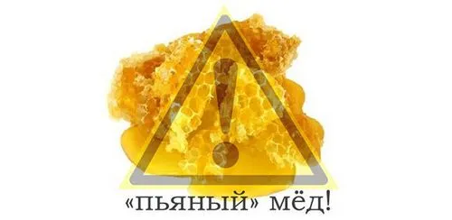 як лікувати отруєння медом