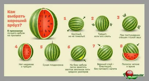 Отруєння кавуном вода