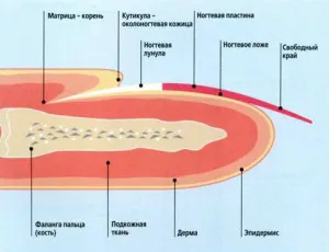 як вилікувати нігті від псоріазу