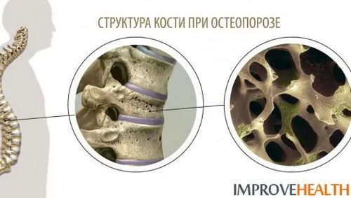 здоров'я