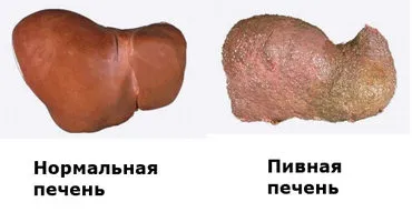 шрот розторопші відгуки