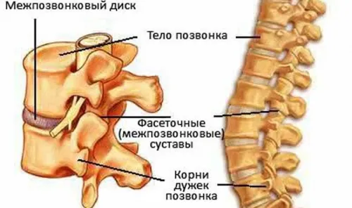 Поширений остеохондроз: причини, симптоми, лікування захворювання