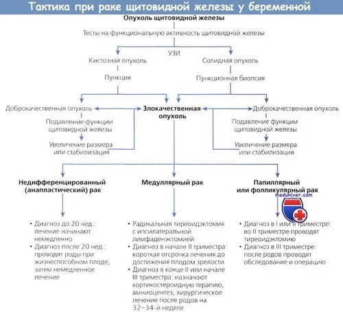 якщо не лікувати рак щитовидної залози