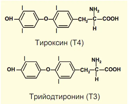 дефіцит йоду ТТГ