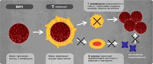 як лікувати ВІЛ у чоловіків