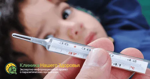 Симптоми і лікування опісторхозу у дітей: ефективні методи і народна медицина як лікувати опісторхоз у дитини