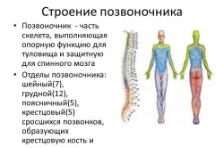 вивихи