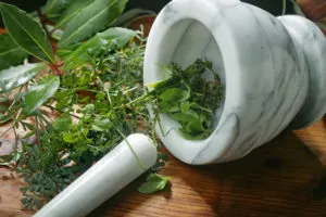 як лікувати нирки травами