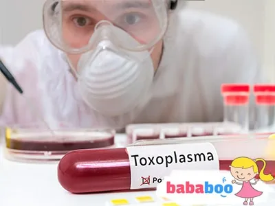 Токсоплазмоз при вагітності чи потрібно лікувати токсоплазмоз перед вагітністю