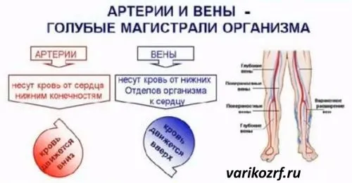 як лікувати варикоз і тромбофлебіт