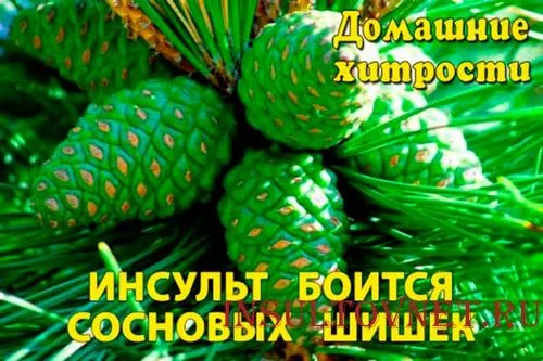 як лікувати інсульт ялиновими шишками