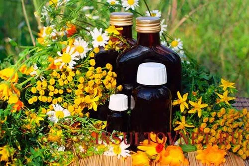 як лікувати інсульт ялиновими шишками