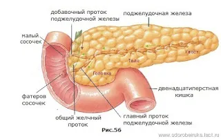 як вилікувати холинергическую кропив'янку