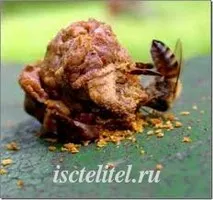 як лікувати виразку шлунка будинку