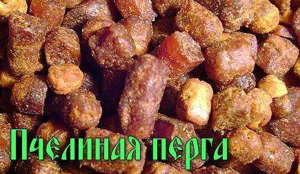 зож