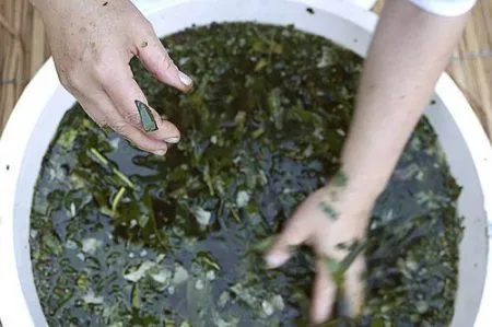 як лікувати жировик на руці