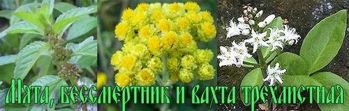 народне лікування