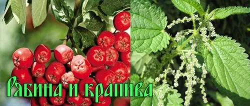 лікування