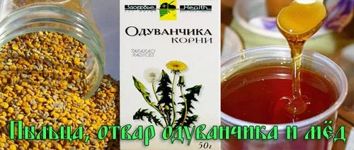 зож