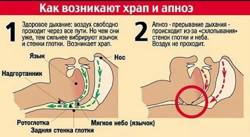 в домашніх умовах