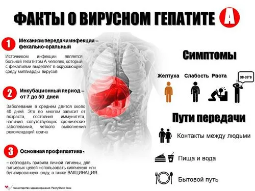 Жовтяниця: симптоми як лікуватися від жовтяниці