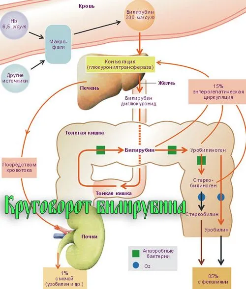 рецепти лікування