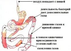 як лікувати кишечник від газів
