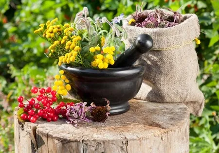 як лікувати гастрит і виразку шлунка народними засобами