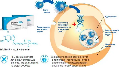 як повністю вилікувати цитомегаловірус