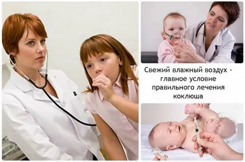 коклюш