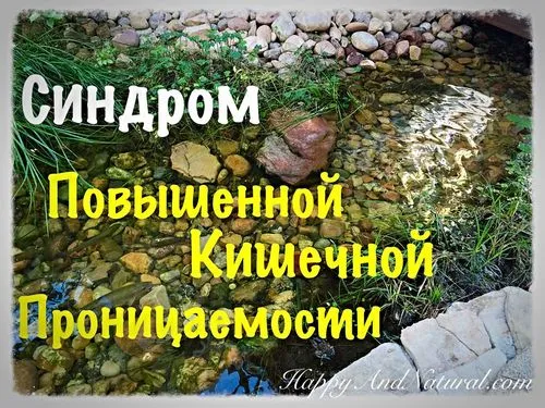 Що таке синдром підвищеної проникності кишечника і чому всі хвороби починаються в кишечнику? Happy - natural як лікувати дірявий кишечник