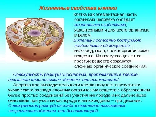 суглобовий псоріаз