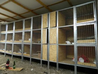 Cultivarea iepuri - o afacere profitabilă, care nu necesită investiții mari