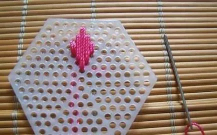 Broderie pe panza de plastic, o clasă de master cu fotografii (din plastic) Broderie pe panza de plastic, o clasă de master cu fotografii