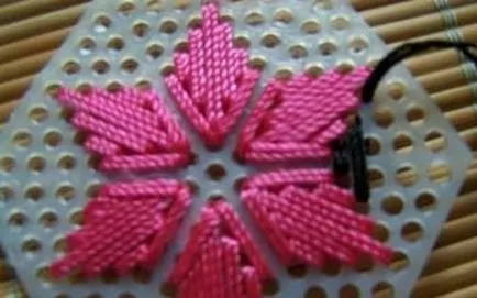 Broderie pe panza de plastic, de Master Class cu fotografie (pânză) Broderie pe panza de plastic, o clasă de master cu fotografii
